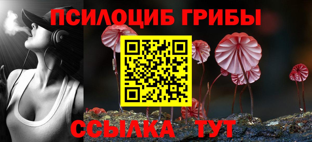 Тихорецк  Псилоцибиновые грибы GOLDEN TEACHER  Псилоцибиновые грибы мухоморы  Вход с VPN 