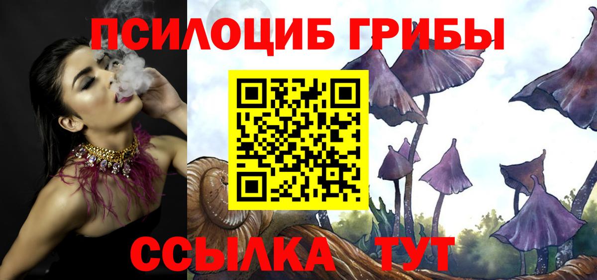 Псилоцибиновые грибы Magic Shrooms Тихорецк